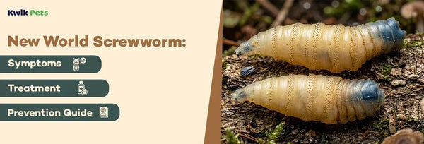 new world screwworm