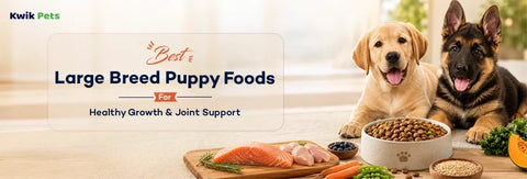 Best Large Breed Puppy Foods for Healthy Growth & Joint Support
