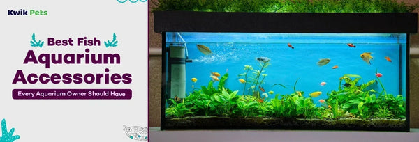 fish aquarium accessories