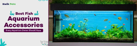 Best Fish Aquarium Accessories Every Aquarium Owner Should Have