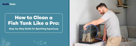 How to Clean a Fish Tank Like a Pro: Step-by-Step Guide for Sparkling Aquariums