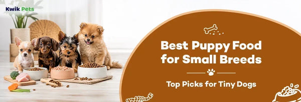 Best Puppy Food for Small Breeds: Top Picks for Tiny Dogs in 2026