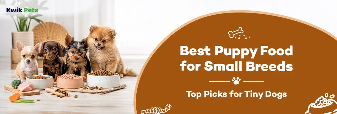 Best Puppy Food for Small Breeds: Top Picks for Tiny Dogs in 2026
