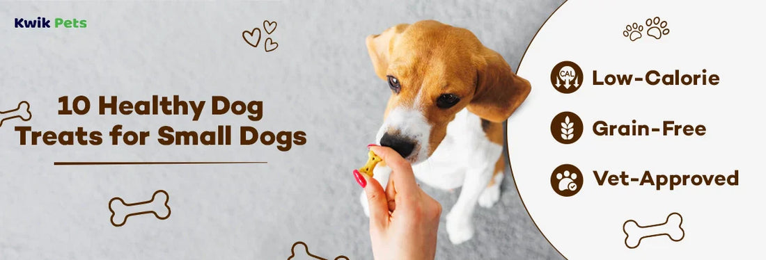 10 Healthy Dog Treats for Small Dogs in 2026: Low-Calorie, Grain-Free & Vet-Approved