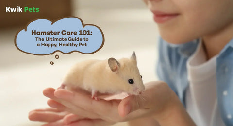 Hamster Care 101: The Ultimate Guide to a Happy, Healthy Pet