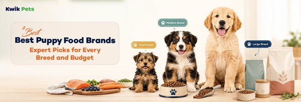best puppy food brands