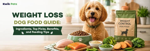 Weight Loss Dog Food Guide: Ingredients, Top Picks, Benefits, and Feeding Tips
