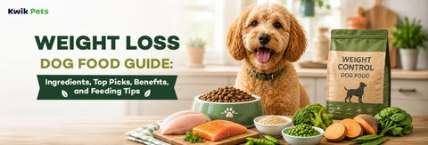 Weight Loss Dog Food Guide: Ingredients, Top Picks, Benefits, and Feeding Tips