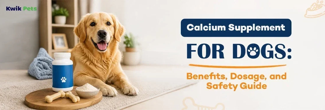 calcium supplement for dogs