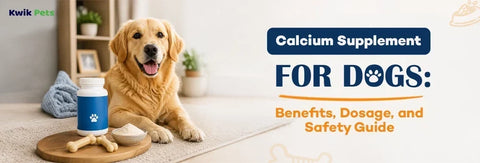 Calcium Supplement for Dogs: Benefits, Dosage, and Safety Guide