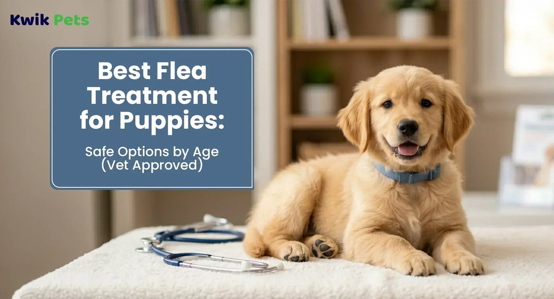 Best Flea Treatment for Puppies: Safe Options by Age (Vet Approved)