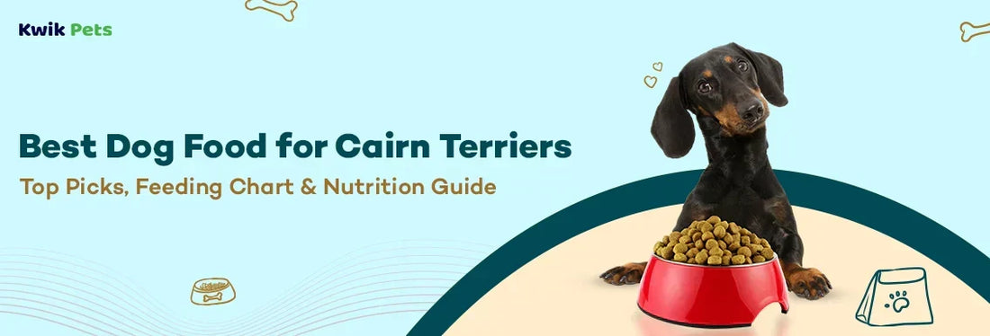 Best Dog Food for Cairn Terriers in 2026