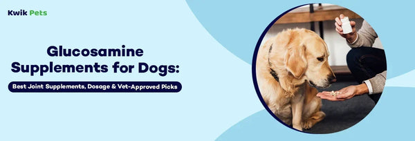 glucosamine supplements for dogs
