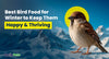 Best Bird Food for Winter to Keep Them Happy & Thriving
