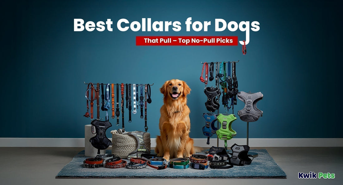 Best Collars for Dogs That Pull – Top No-Pull Picks