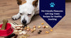 Pet-Friendly Pleasures: Soft Dog Treats Recipes for Healthy Snacking