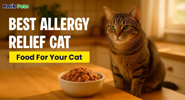 Best Allergy Relief Cat Food For Your Cat