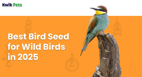 Best Bird Seed for Wild Birds in 2025