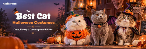 Best Cat Halloween Costumes 2026: Cute, Funny & Cat-Approved Picks