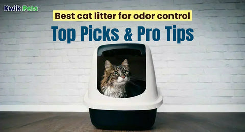 Best Cat Litter For Odor Control: Top Picks & Pro Tips for 2026