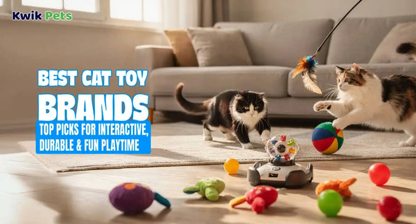 Best Cat Toy Brands: Top Picks for Interactive, Durable & Fun Playtime
