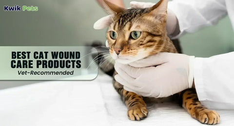 Best Cat Wound Care Products in 2026: Vet-Recommended Sprays, Gels & Styptic Powders
