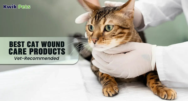 Best Cat Wound Care Products in 2026 (Vet-Recommended)
