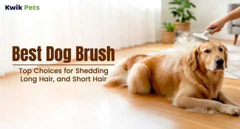 Best Dog Brush: Top Choices for Shedding Long Hair and Short Hair