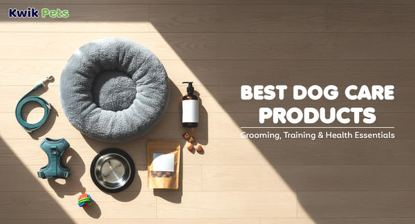 Best Dog Care Products 2026