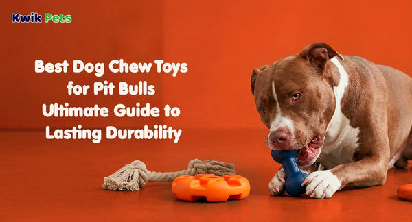 Best Dog Chew Toys for Pit Bulls: Ultimate 2026 Guide to Lasting Durability
