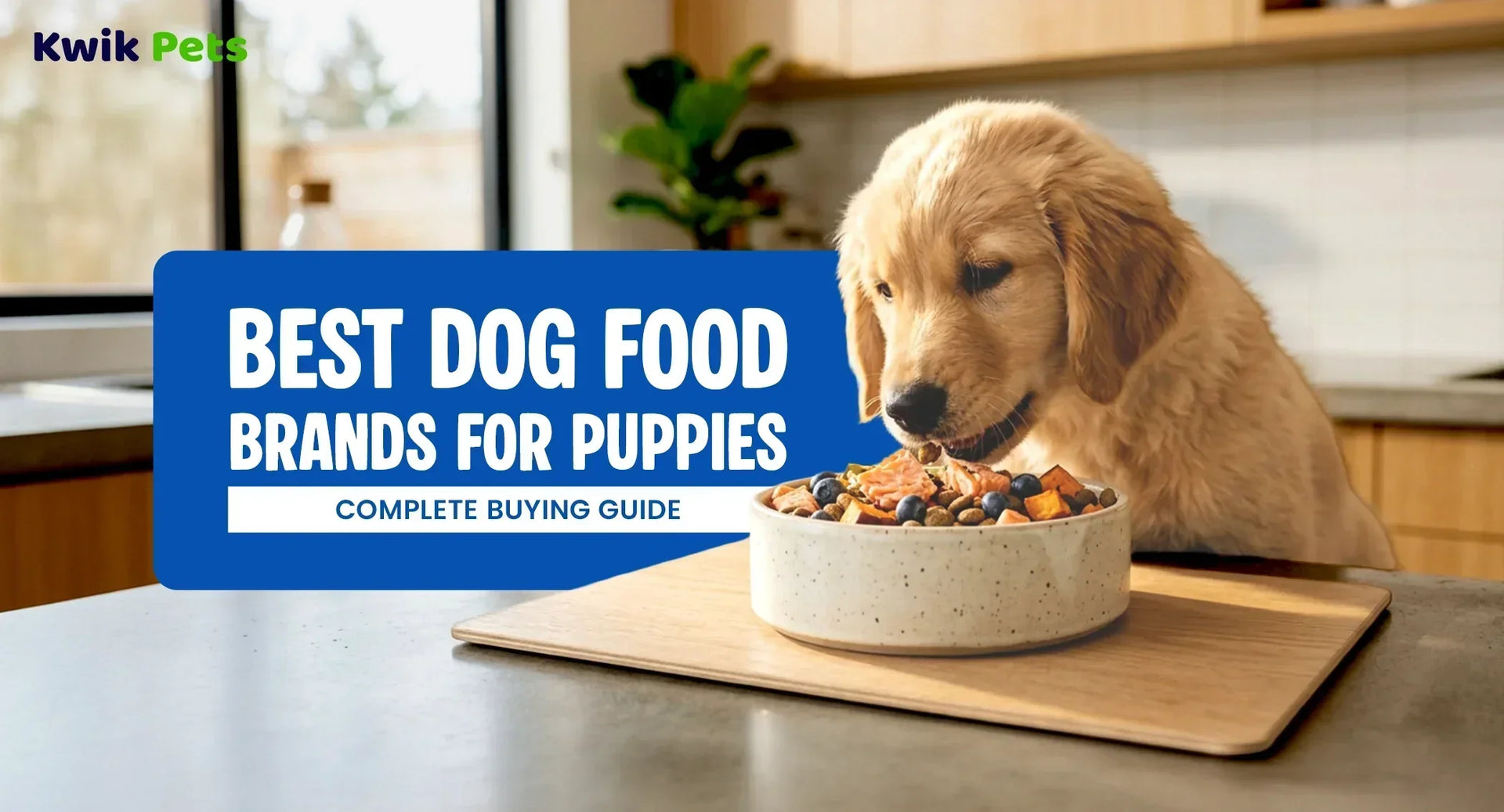 Best Dog Food Brands for Puppies: Complete Buying Guide