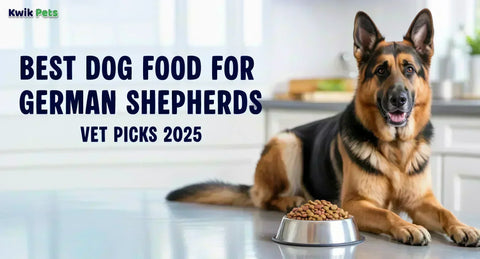 Best Dog Food for German Shepherds – Vet Picks and Nutrition Guide 2025
