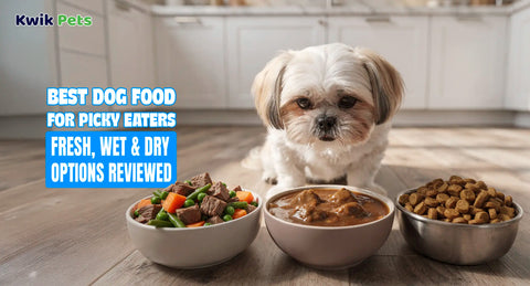 Best Dog Food for Picky Eaters: Fresh, Wet & Dry Options Reviewed