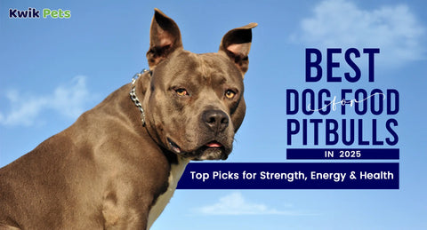 Best Dog Food for Pitbulls : Top Picks for Strength, Energy & Health