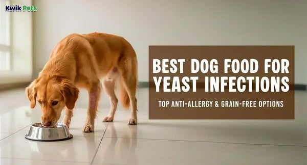 Best Dog Food for Yeast Infections: Top Anti-Allergy & Grain-Free Options