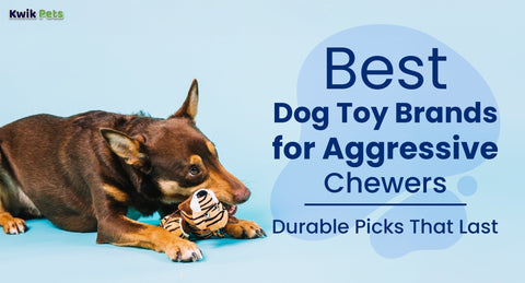Best Dog Toy Brands for Aggressive Chewers: Durable Picks That Last