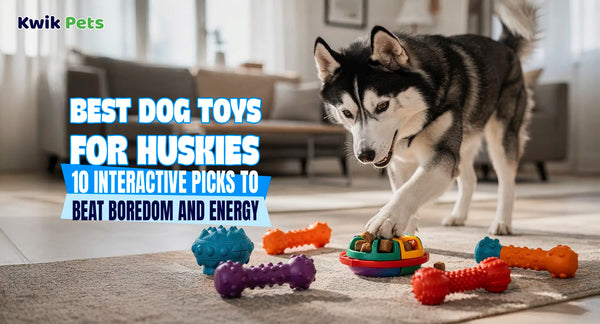 Best Dog Toys for Huskies: 10 Interactive Picks to Beat Boredom and Energy