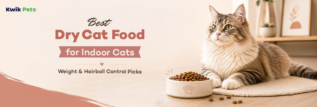 Dry Cat Food for Indoor Cats: Weight & Hairball Control Picks