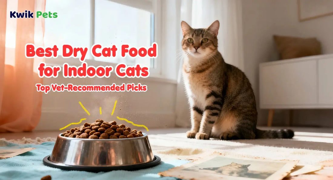 Best Dry Cat Food for Indoor Cats in 2026: Top Vet-Recommended Picks