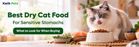 Best Dry Cat Food for Sensitive Stomachs: What to Look for When Buying