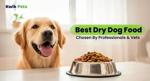 Best Dry Dog Food Chosen By Professionals And Vets