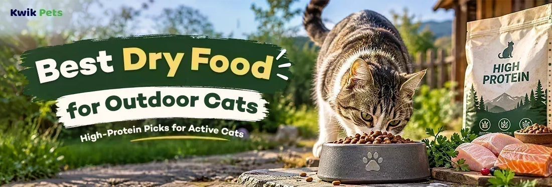 best dry food for outdoor cats