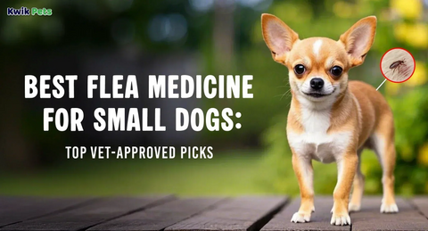 Best Flea Medicine for Small Dogs: Top Vet-Approved Picks