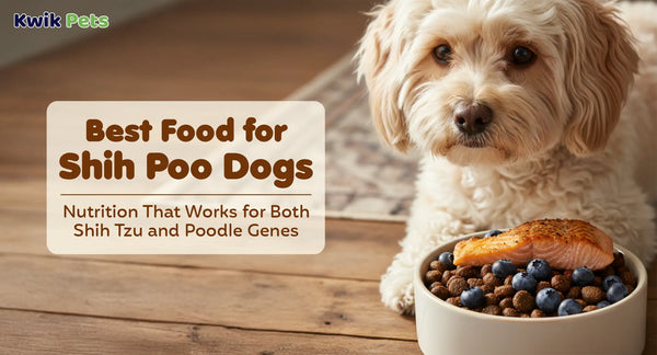 Best Food for Shih Poo Dogs: Nutrition That Works for Both Shih Tzu and Poodle Genes