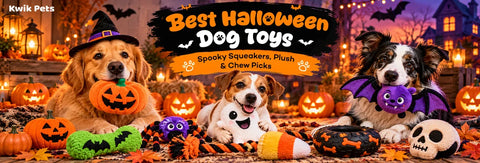 Best Halloween Dog Toys 2026: Spooky Squeakers, Plush & Chew Picks