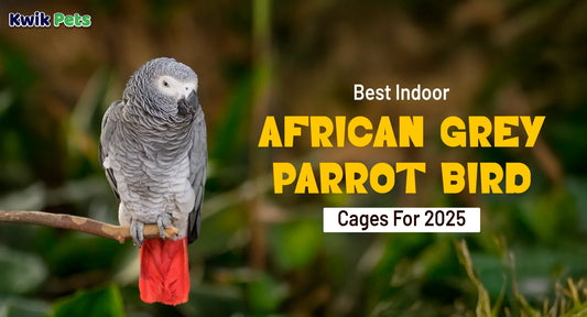 Best Indoor African Grey Parrot Bird Cages For 2025