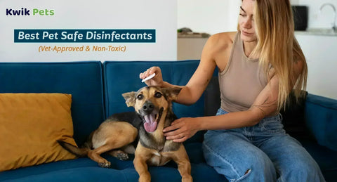 Best Pet Safe Disinfectants in 2026 (Vet-Approved & Non-Toxic)
