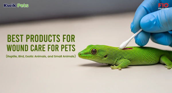 Best Products for Wound Care for Pets (Reptile, Bird, Exotic Animals, and Small Animals)