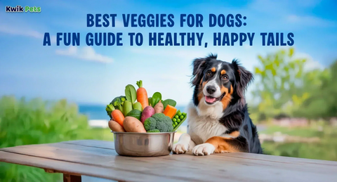 Best Veggies for Dogs: A Fun Guide to Healthy, Happy Tails