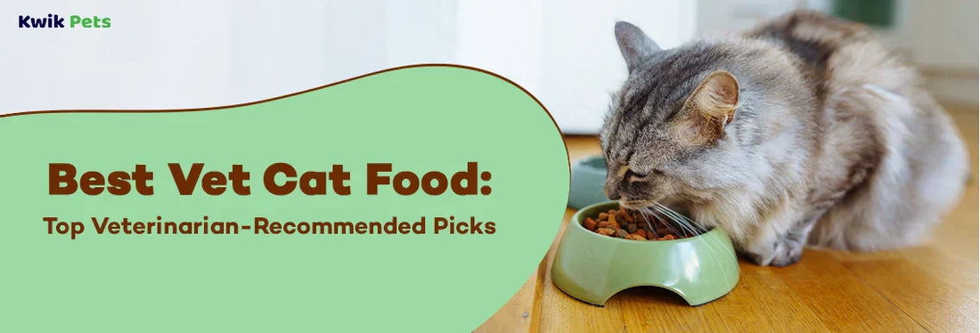 Best Vet Cat Food